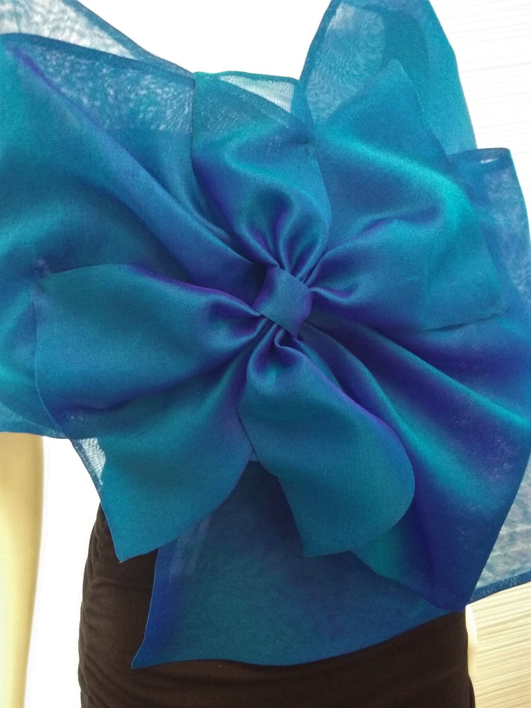 Organza Evening Wrap